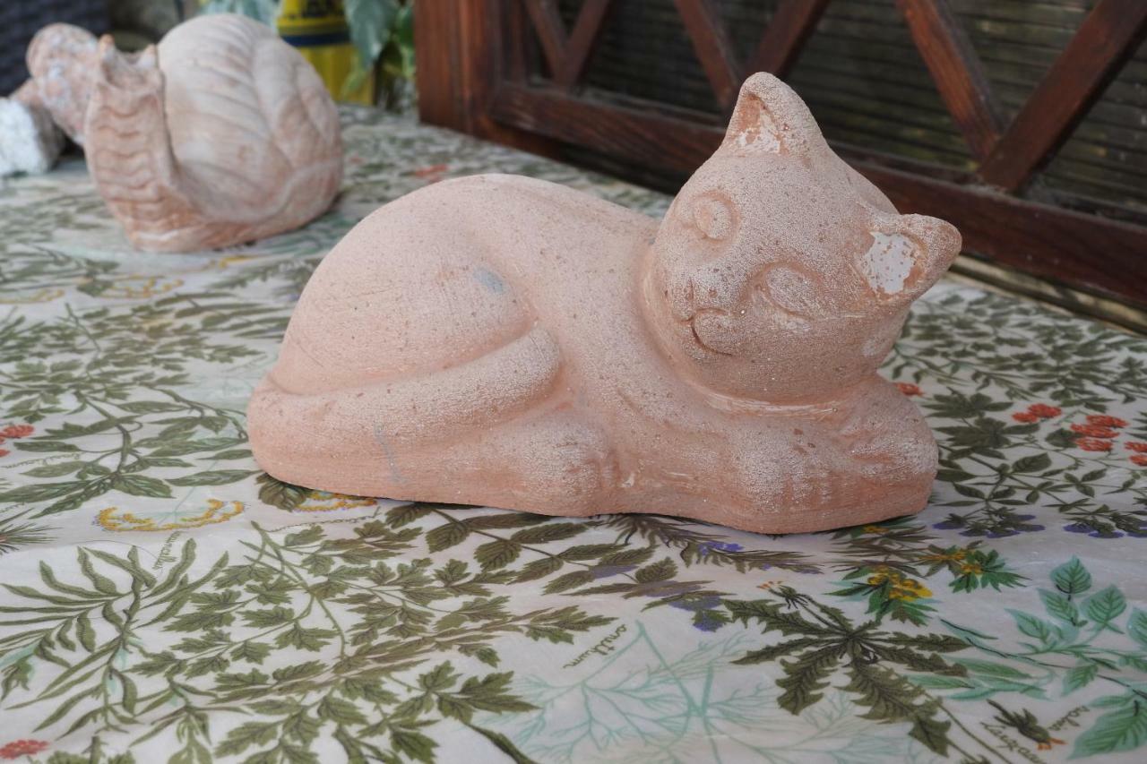 托里塔·迪·锡耶纳Casa Di Angela公寓 外观 照片